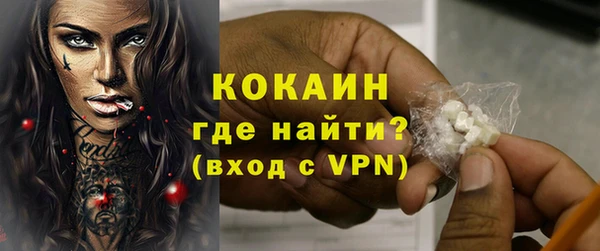 крисы Богородицк