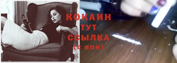 крисы Богородицк