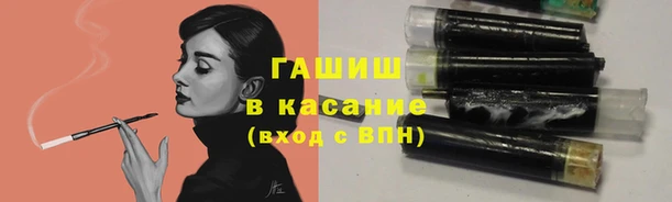 крисы Богородицк
