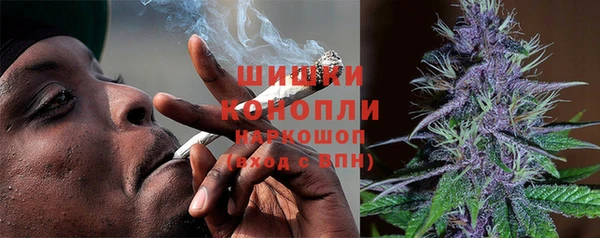 крисы Богородицк