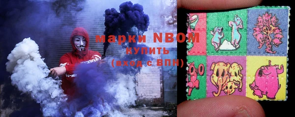 крисы Богородицк