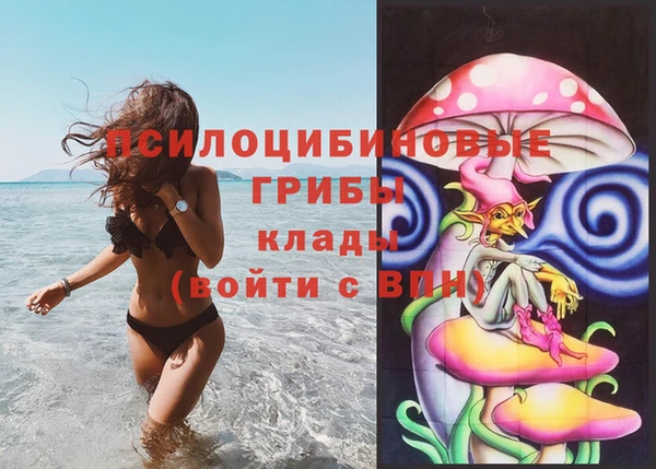 крисы Богородицк