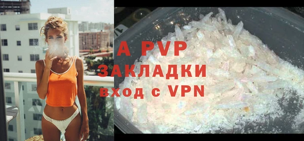 крисы Богородицк